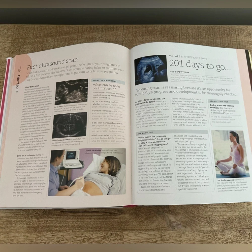 Pregnancy Day by Day | Hardcover Book | DK Publishing